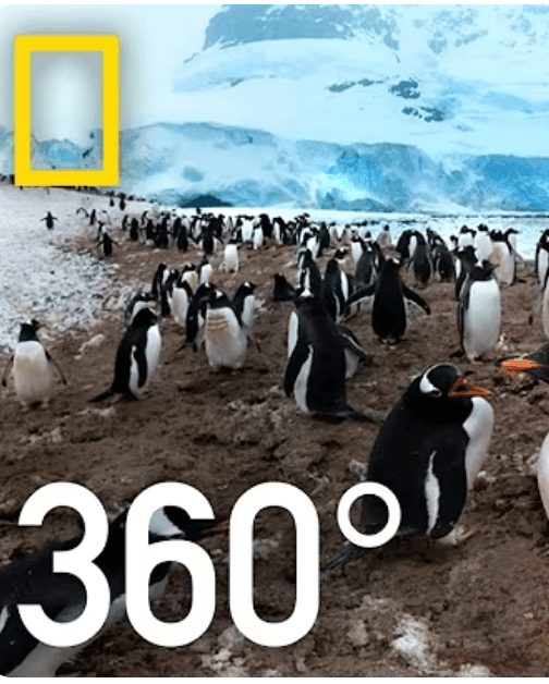 See It in 360°